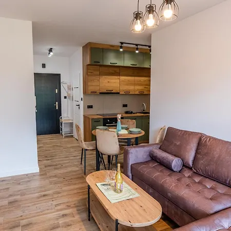 Diamentowy Premium Z Tarasem I Garazem * Bielsko-Biała
